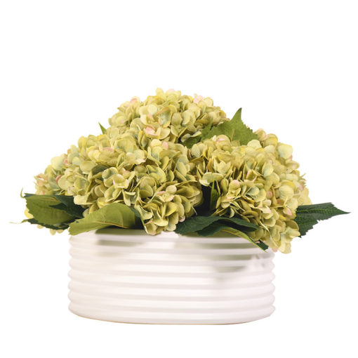 Green Hydrangeas in Armonica Bowl - 219014