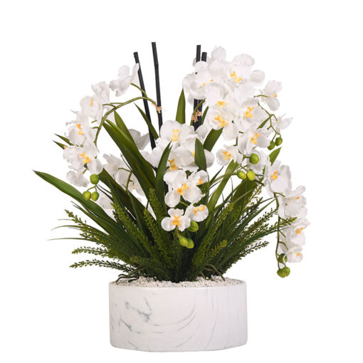 Cream Vanda Orchids with Heather Fern in Large Cora Bowl - 219016