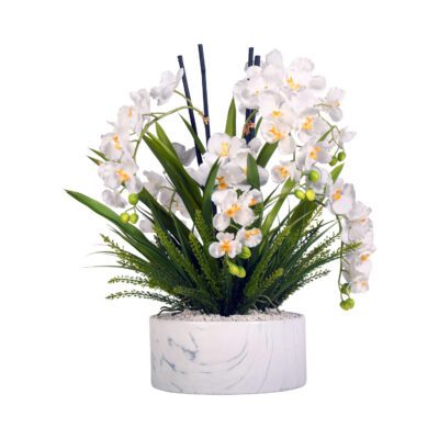 Orchids with Heather Fern in Large Cora Bowl - 219016