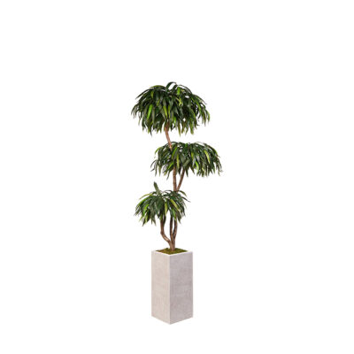 Weeping Ficus Tree in Everett Planter 7' - 321910
