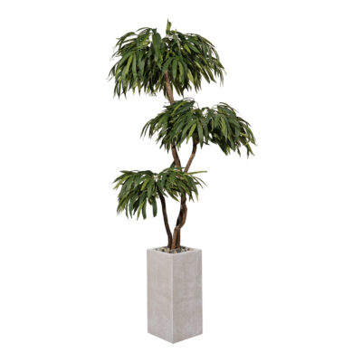 Weeping Ficus Tree in Everett Planter 7' - 321910