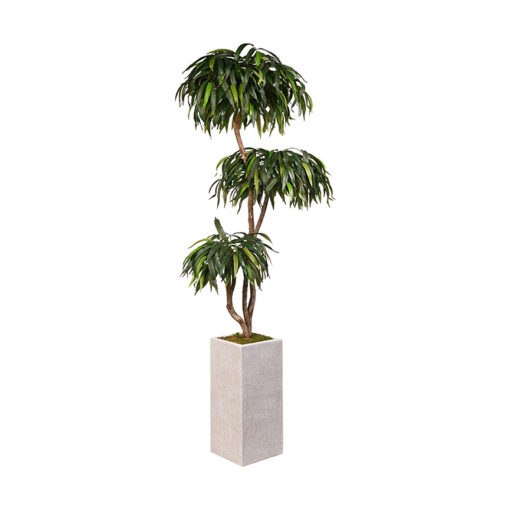 Weeping Ficus Tree in Medium Everett Planter 7' - 321910