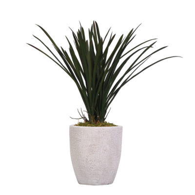 Green Areca Grass in Small Hudson Planter - 321914