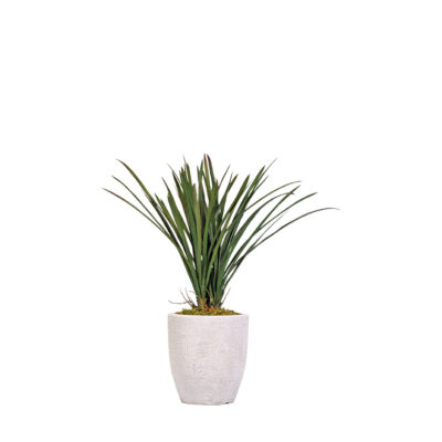 Areca Grass in Hudson Planter 2.3' - 321914
