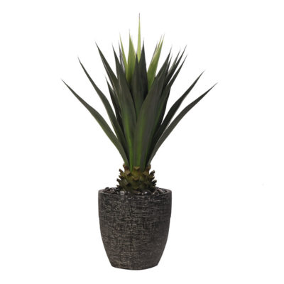 52" Jumbo Agave Plant in Large Swayer Planter - 321918