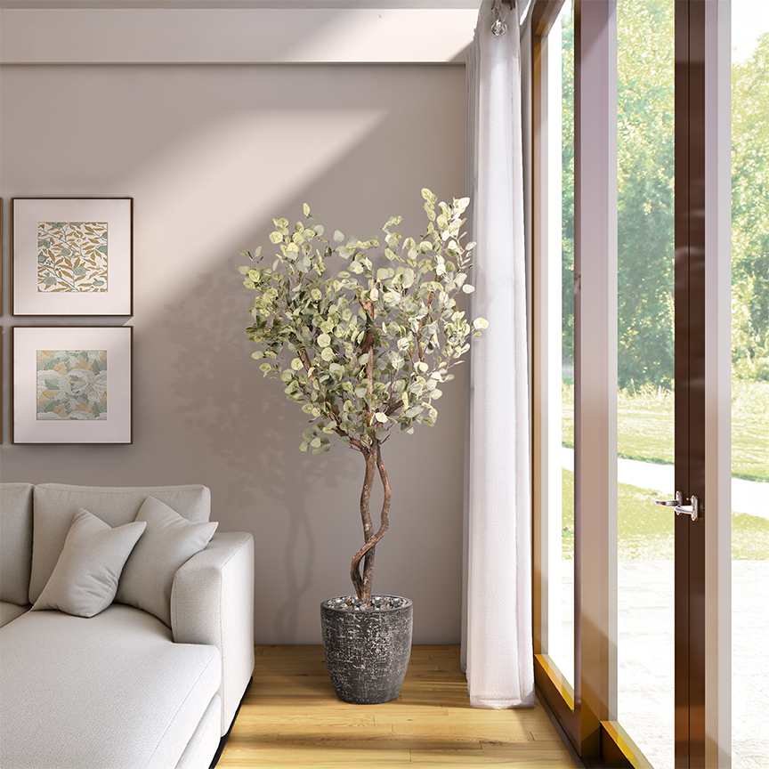 Eucalyptus Tree in Sawyer Planter 7' - 321920 - Image 2