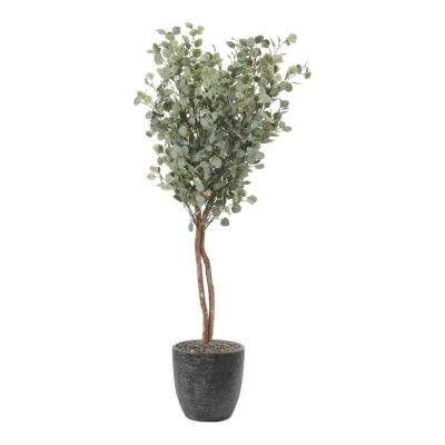 Eucalyptus Tree in Sawyer Planter 7' - 321920