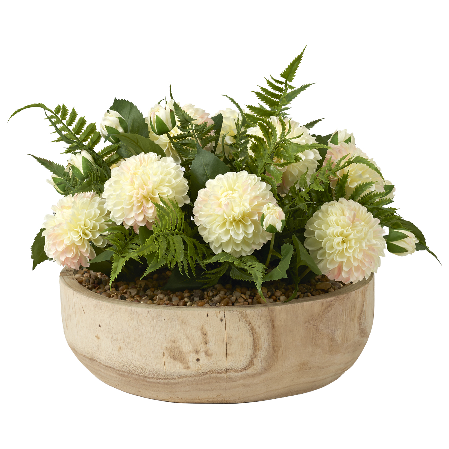 Dahlias with Leather Fern in Ambrose Flat Bowl - 224008