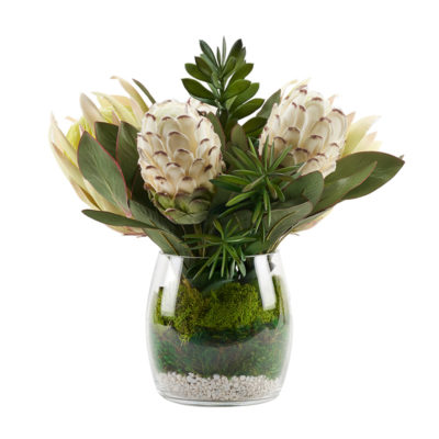 White Proteas with Jade Plants in Tumbler Vase - 224011