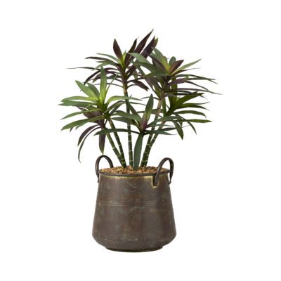 Yucca Branches in Small Lantana Planter - 224019