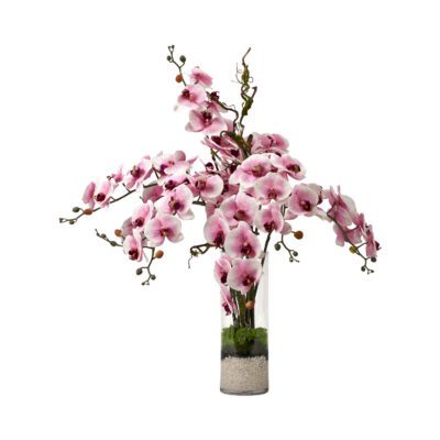 Orchids in Fleur Vase - 224023