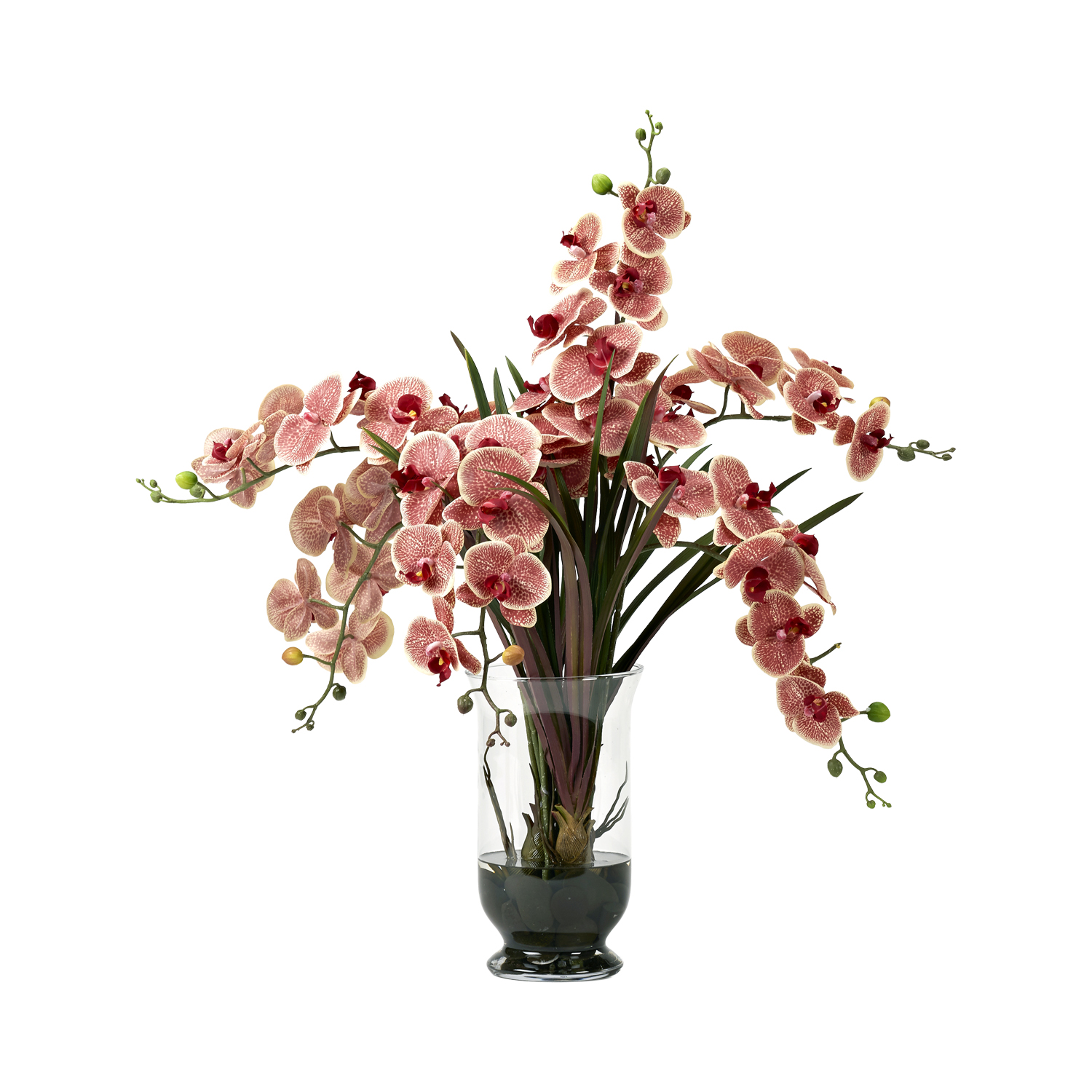 Cymbidium Orchids in Hurricane Vase - 224024