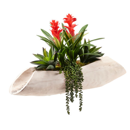 Red Gingers, Aloe Plants, and Sedum Spray in Whitewashed Lodge Planter - 224030