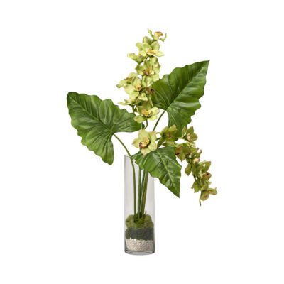 Cymbidium Orchids with Philo Leaves in Glass Vase - 224034