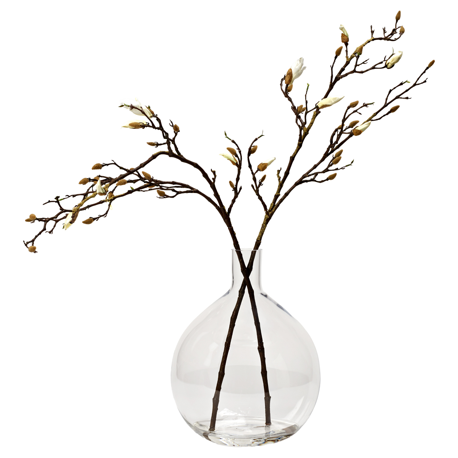 Budding Magnolia Branches in Baylor Vase - 224036