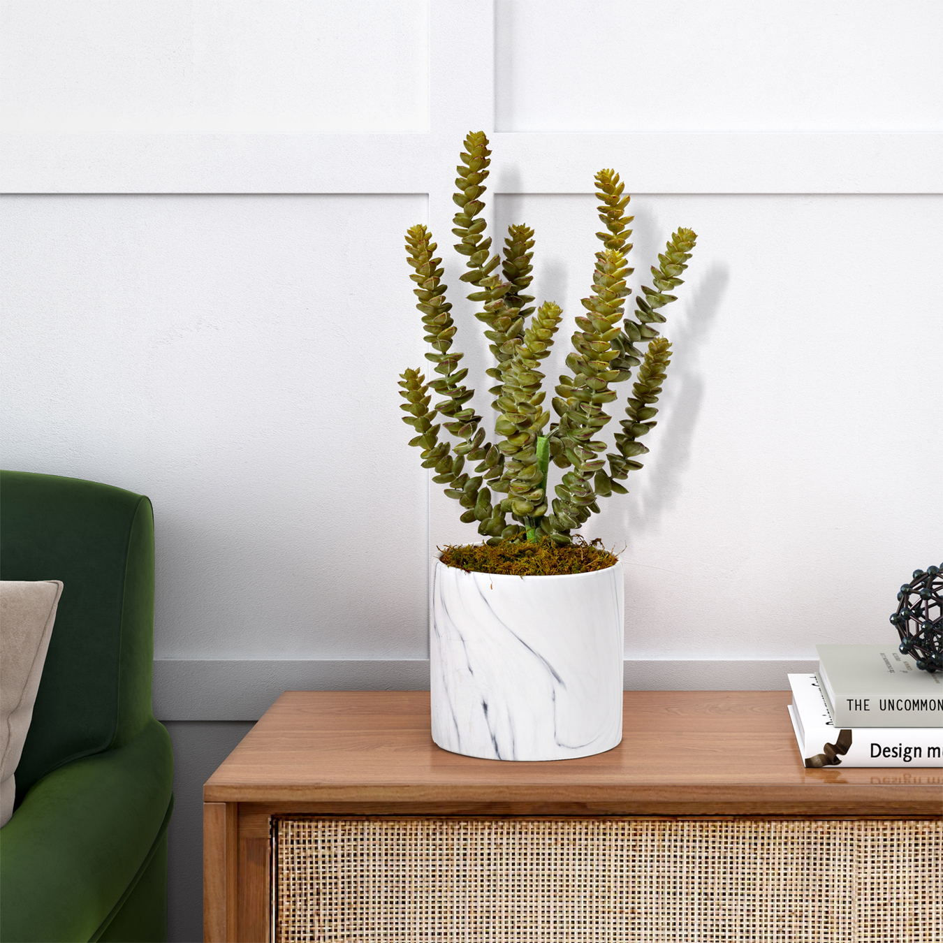 Donkey Tail in Small Cora Vase - 224041 - Image 2