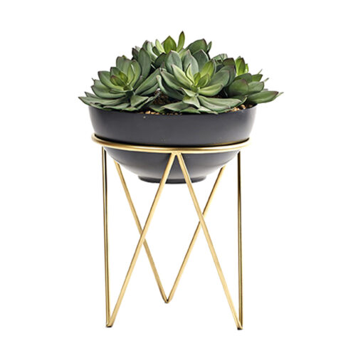 Green Frosted Echeveria in Estelle Planter - 224043 - Image 2