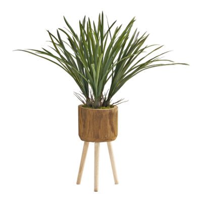 Areca Grass in Asher Planter with Legs 3.1' - 224044