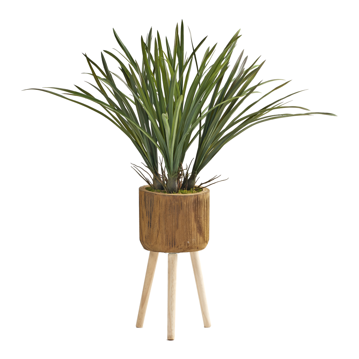 Areca Grass in Asher Planter with Legs 3.1' - 224044