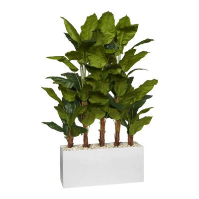 Spath Plant Screen in White Rectangle Planter 7' - 322402
