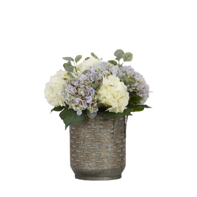 Cream and Lavender Hydrangeas in Small Waverly Planter - 224032