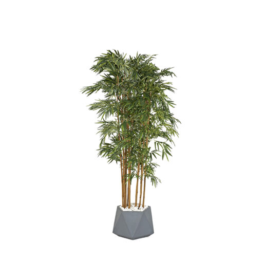 Bamboo Tree in Jagger Planter 8' - 322406