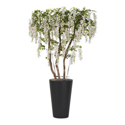 Lavender Wisteria Trellis in Tall Round Black Planter 8' - 322407