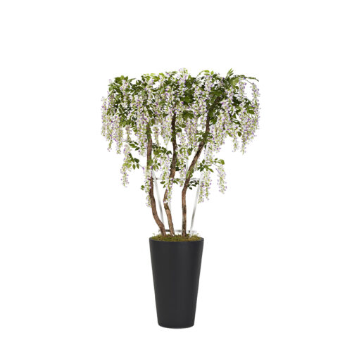Lavender Trelis in Tall Round Black Planter 8' - 322407