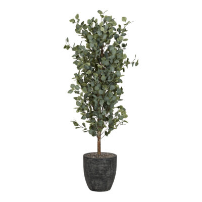 Eucalyptus Tree in Hudson Planter 5' - 322410
