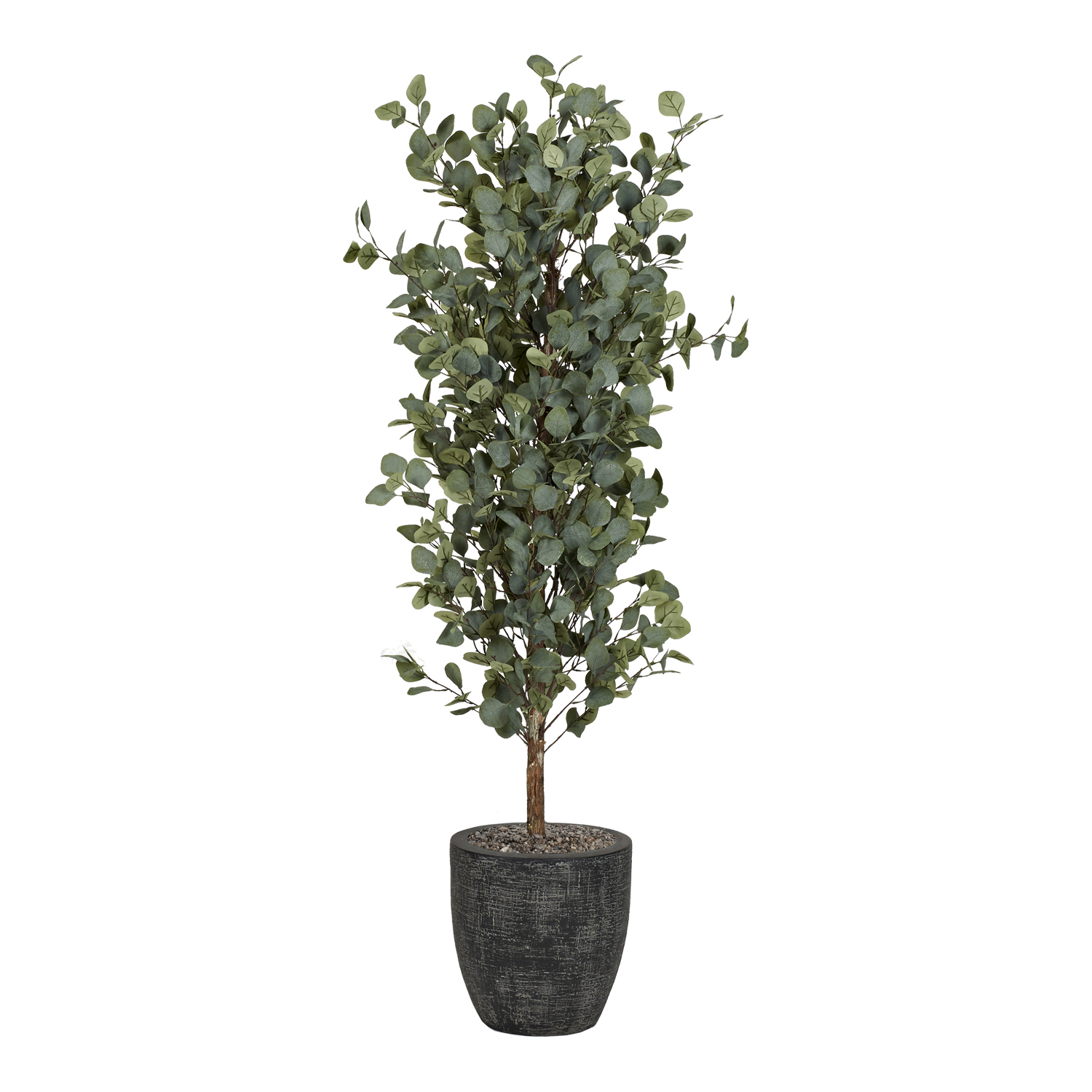 Eucalyptus Tree in Hudson Planter 5' - 322410