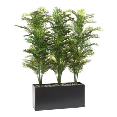 Robellini Palm Screen in Large Prism Planter - 322502