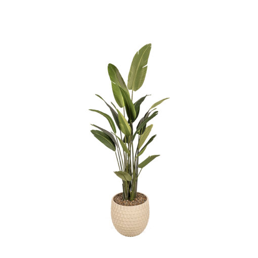Traveler Palm 8.5' - 728-3101