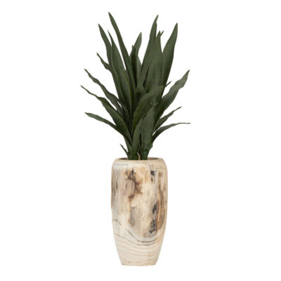 Dark Green Sansevieria Plant in Yucca Vase - 225067