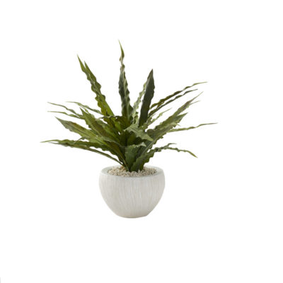 Frosted Green Birdnest in Small Ezra Vase - 227013