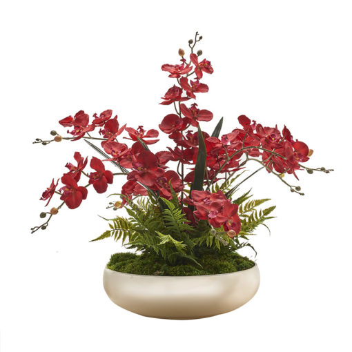 Deep Red Phael Orchids with Ferns in Large Low Gold Bowl - 227022