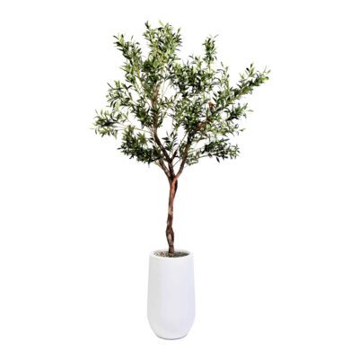 Fruitless Olive Tree in Quinn Planter 7' - 321601