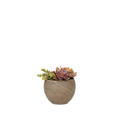Assorted Echeveria & Succulents in Round Brown Marble Planter - 225053