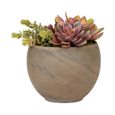 Echeveria & Assorted Succulents in Round Brown Marble Planter - 225053