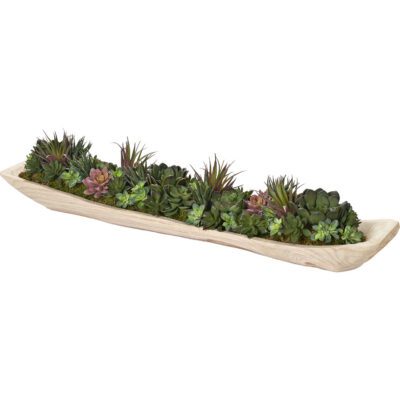 Assorted Mini Succulents in Fortune Wood Tray - 225058