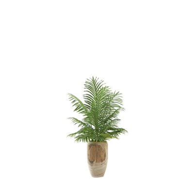 Hawaiian Palm Fronds in Yucca Vase - 225066