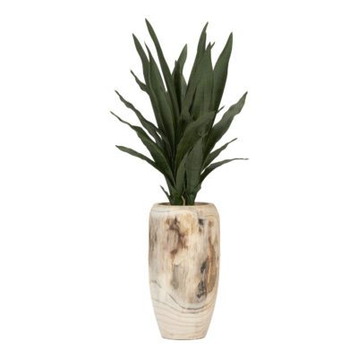 Dark Green Sansevieria Plant in Yucca Vase - 225067