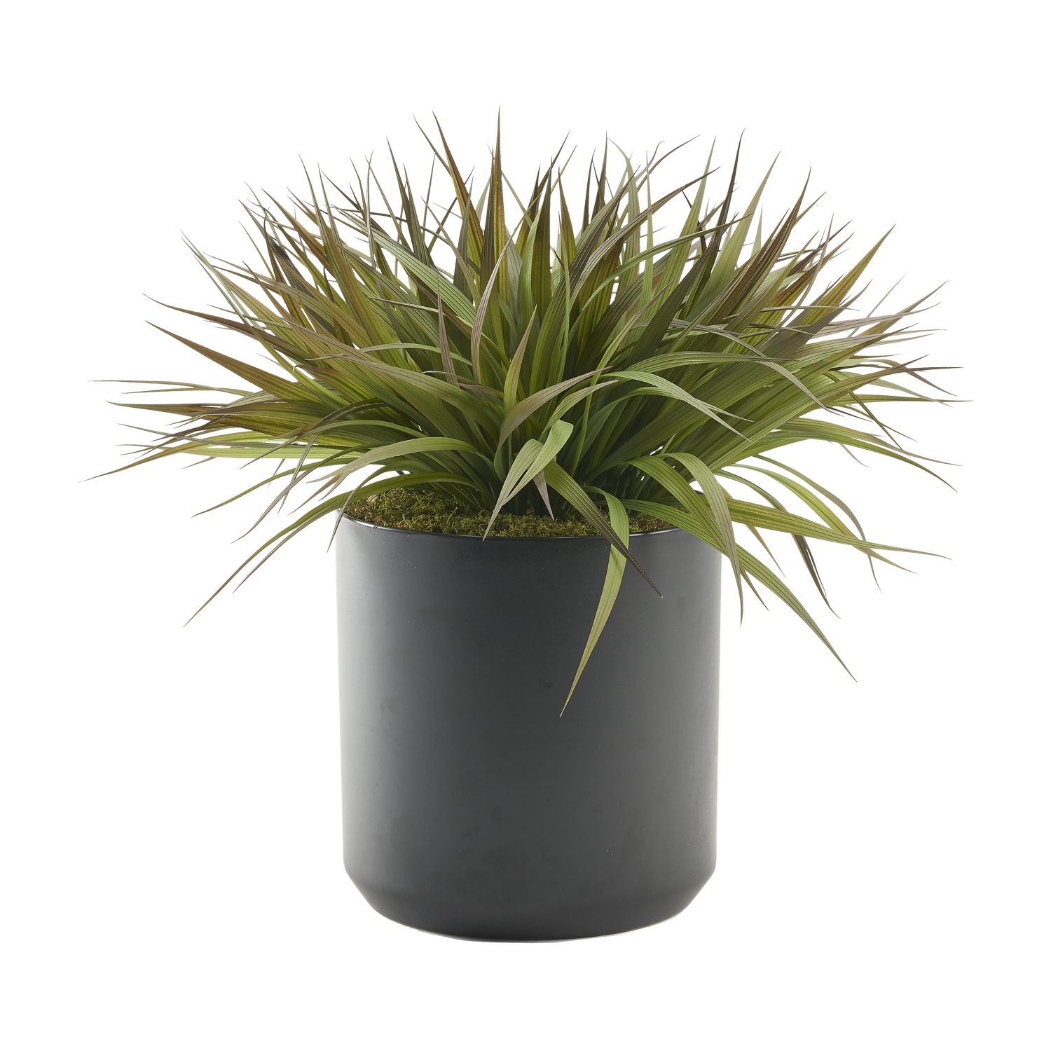Green/Brown Plastic Grass in Black Matte Kendall Pot - 227008