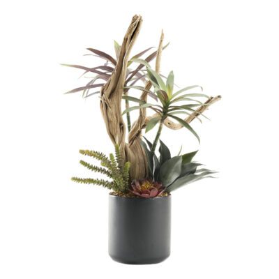 Assorted Succulents & Ghostwood in Kendall Pot 2.7'- 227009