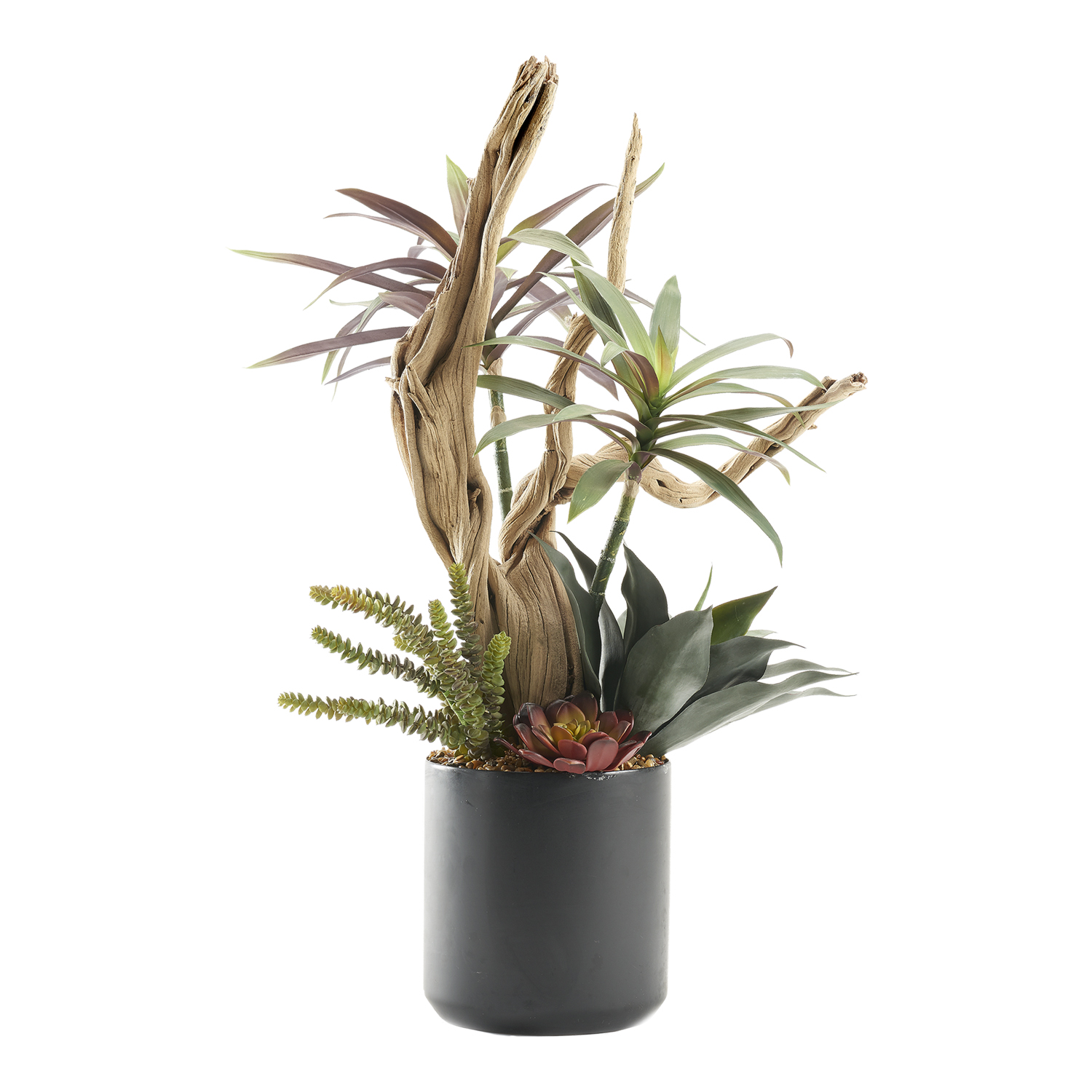 Assorted Succulents & Ghostwood in Kendall Pot 2.7'- 227009