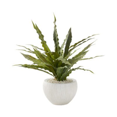 Frosted Green Birdnest in Small Ezra Vase - 227013