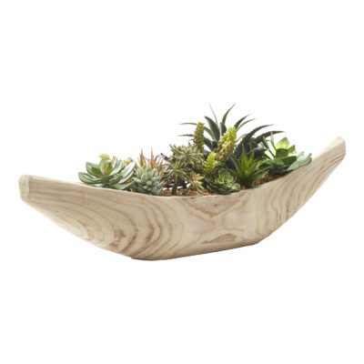 Echeveria and Assorted Succulents in Providence Planter - 227020