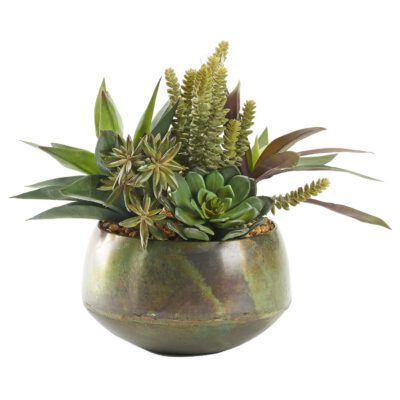 Aloe & Assorted Succulents in Rustic Green Sosa Bowl - 227023