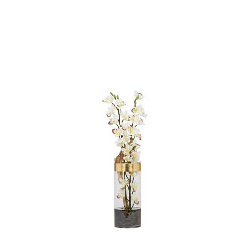 Cream Cymbidium & Ghostwood in Aureate Vase 2.5' - 227038