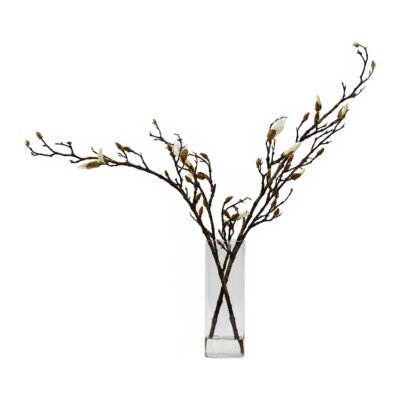 Magnolia Stems in Cillian Vase - 229001