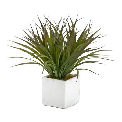 Grass in Small Square Cora Vase - 229002
